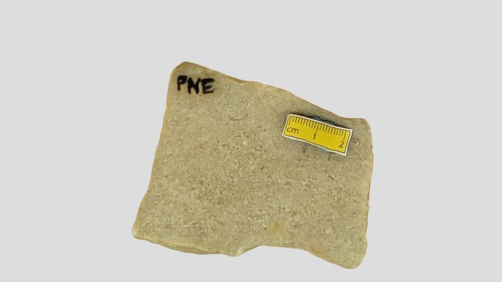 PNE 3D Model