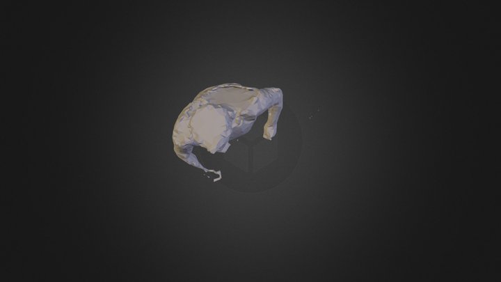 Model2 3D Model
