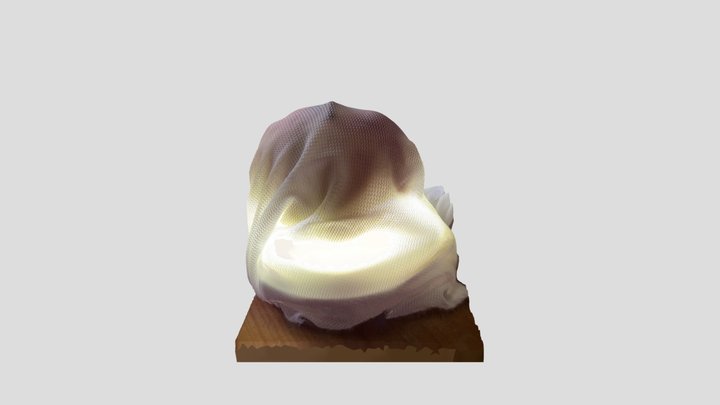 Scan 2023-03-31T14:47:15.498Z 3D Model