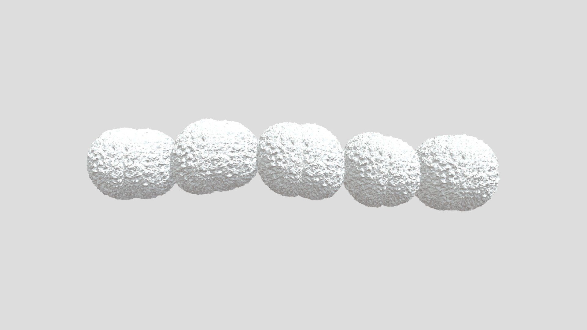 Cocci Chain - 3D model by Kasey Portanova (@kaseyportanova2) [36fa3df ...