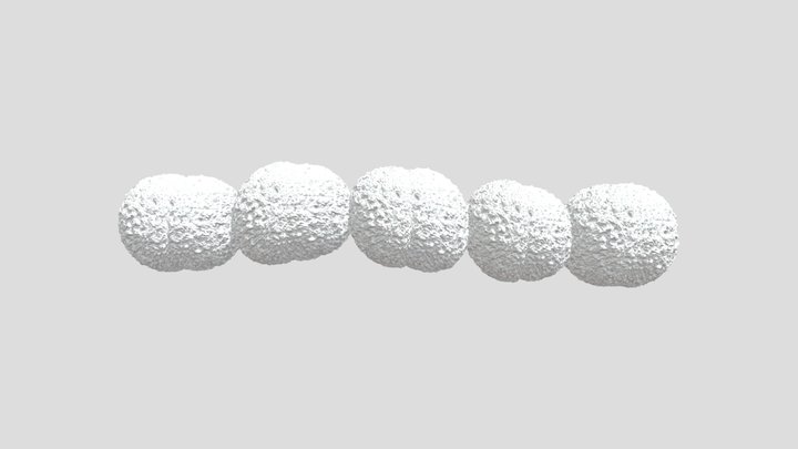 Bacteria 3D models - Sketchfab