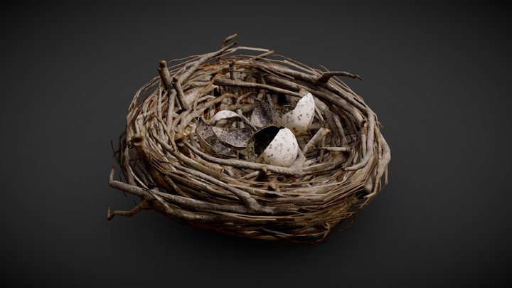 Bird nest - Game model 3D Model