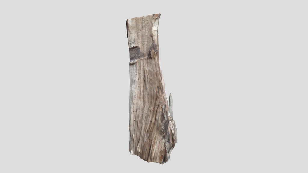 Stump Cutted