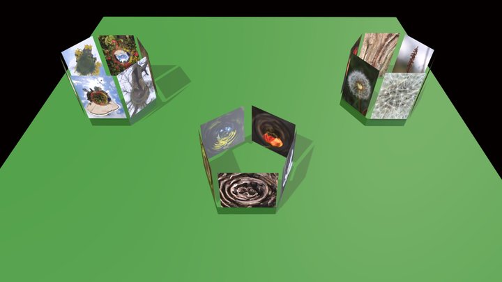Nature in the Round 3D Model