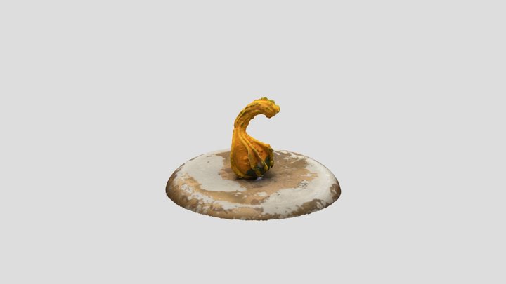 Difficult Squash 3D Model