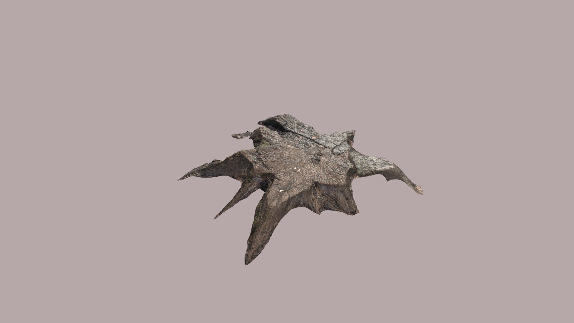 Tree Stump - 3D model by Omphalion [370c826] - Sketchfab