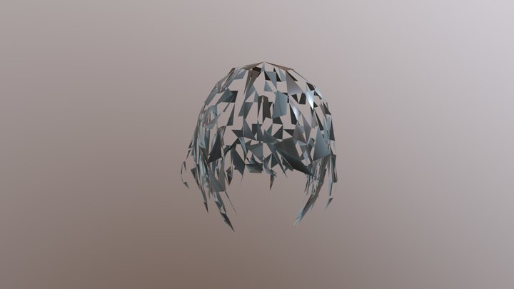 hair 3D Model