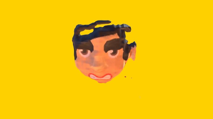 Blockies 3D Model