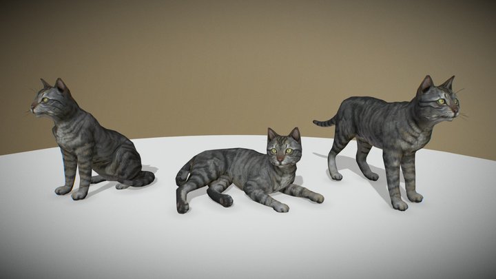 Cat - Base animation 3D Model
