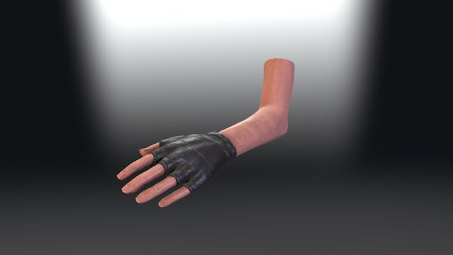 Fps hands 3D Model