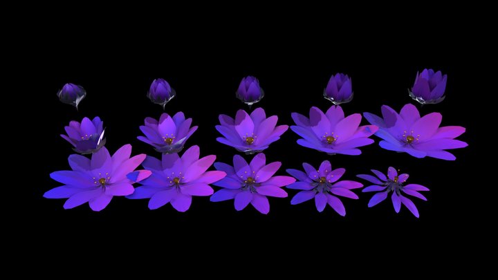 Digital_Flower_c_by xyzuvwopq 3D Model