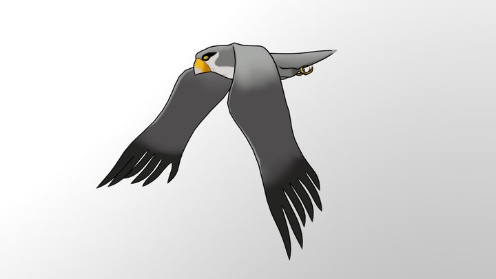 hawk 3D Model