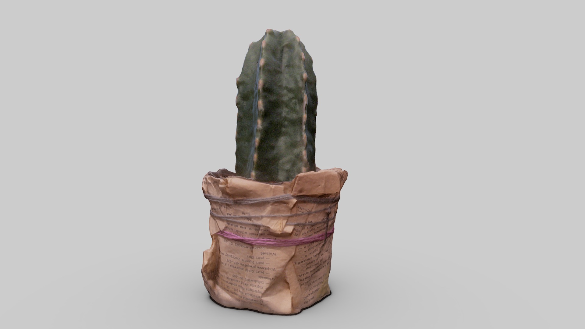 3D model Cactus 3d Scan - This is a 3D model of the Cactus 3d Scan. The 3D model is about a stack of rocks.