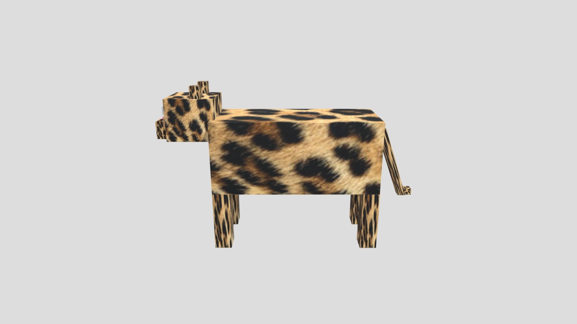 6216680477-leopard