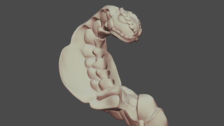"Snek" 3D Model