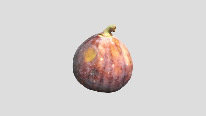(OBJ)Fig With Mixed Hues混合色调的无花果fig 3D Model