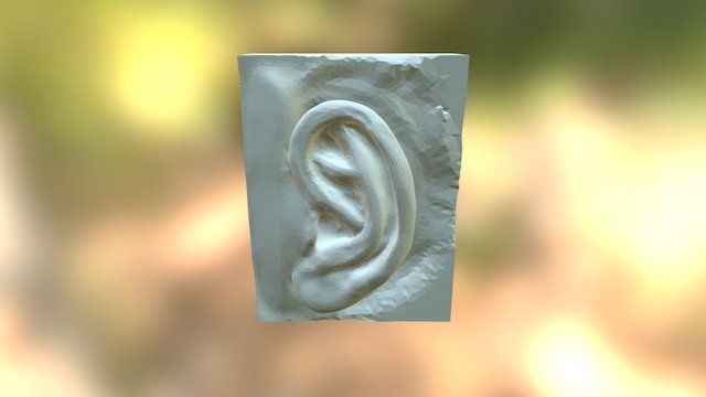 Davear 3D Model
