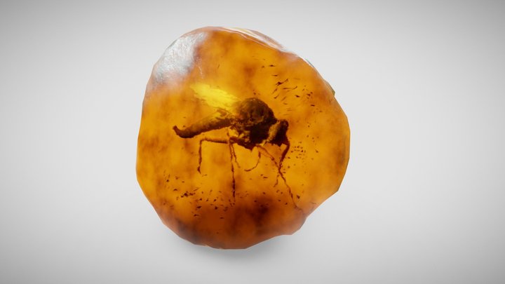 Real-time Refraction Demo: Mosquito in Amber – Modello 3D gratuito STL