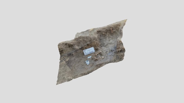 Entierro 2 3D Model