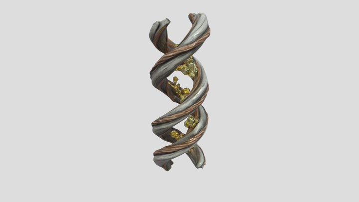 Helix of Nature 3D Model