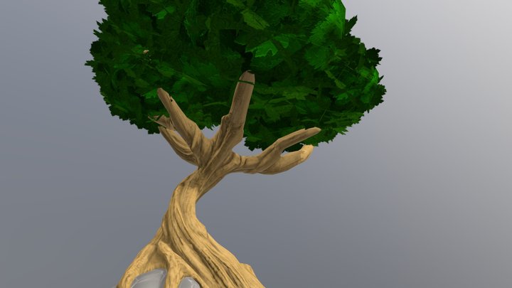 Zen tree 3D Model