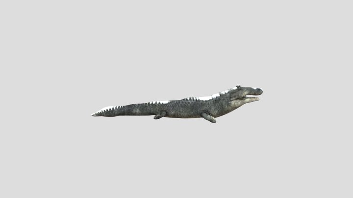 Mm Project (1) 3D Model