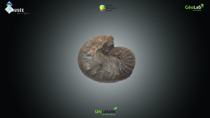 Ammonite- Scaphites sp. – Kostenloses 3D-Modell STL