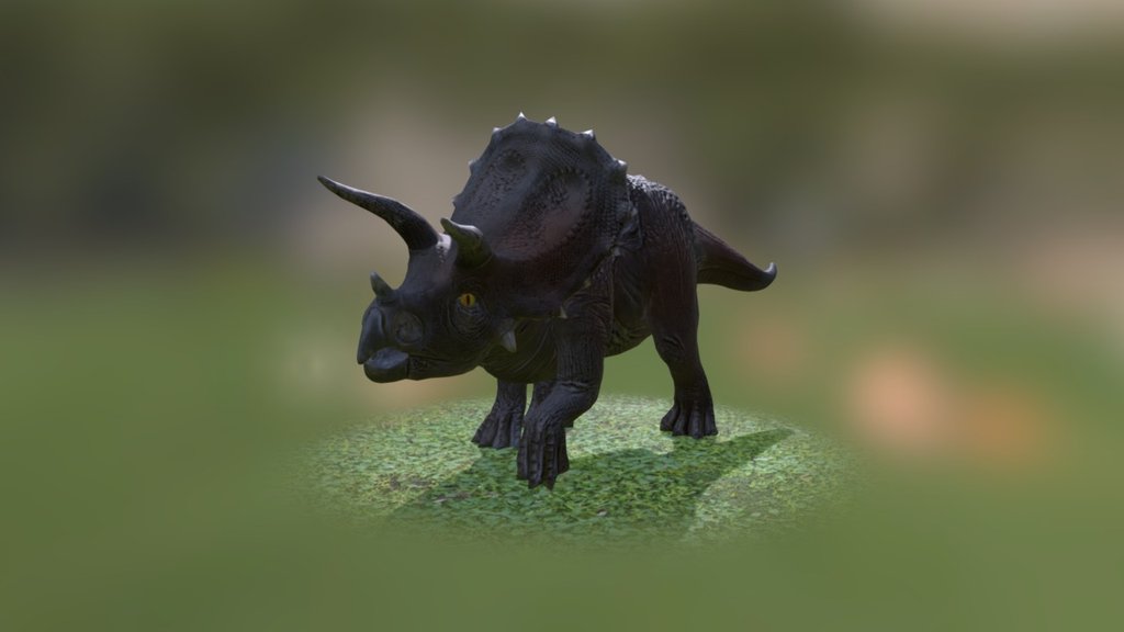 Young triceratops