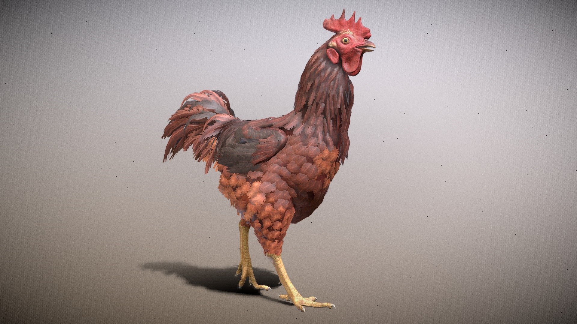 Chicken Walk Animated - Buy Royalty Free 3D model by aaokiji [373a238 ...