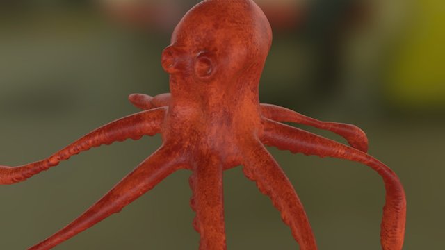 Octopus With Material 3D Model