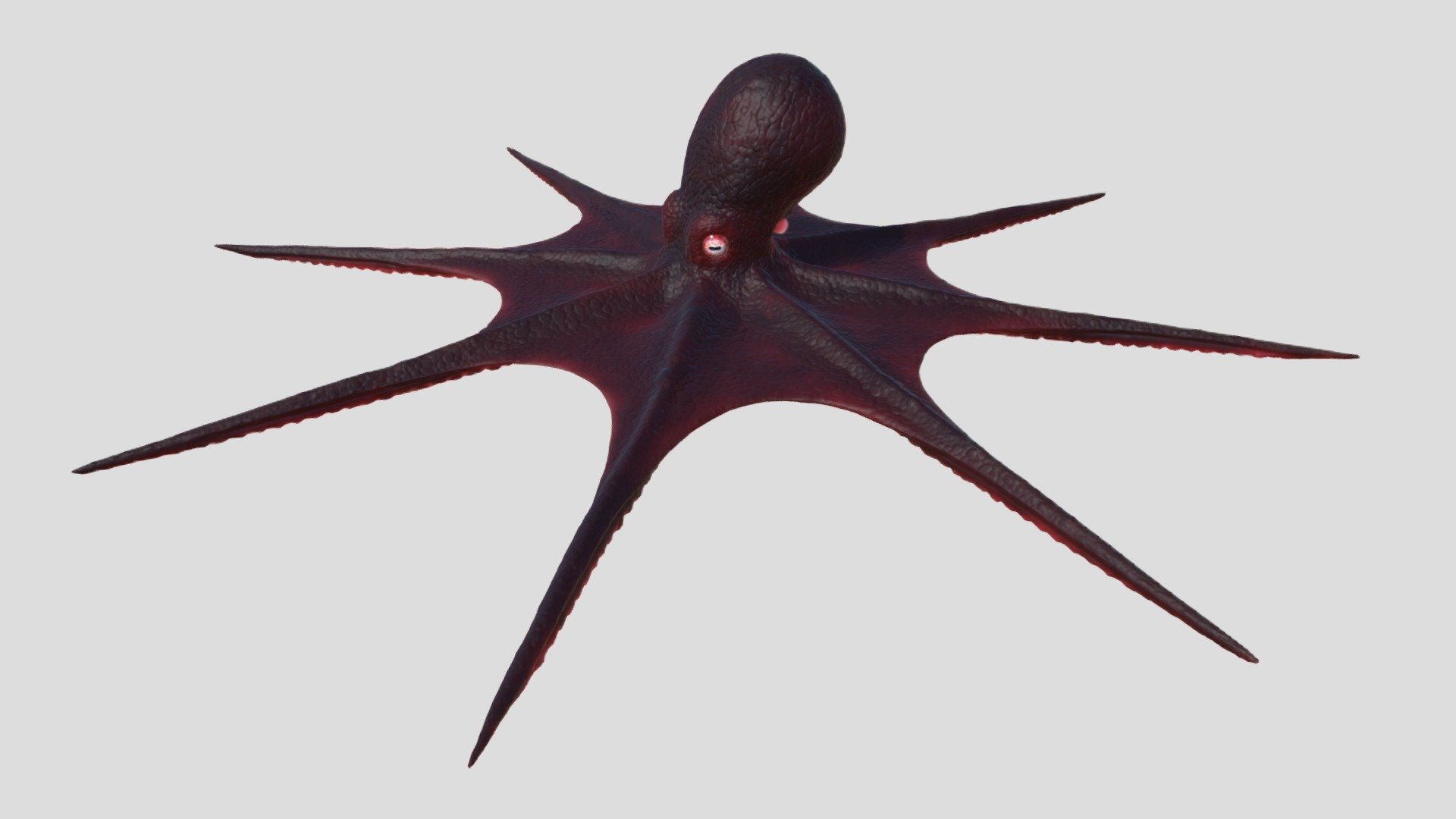 Octopus - Buy Royalty Free 3D model by aleexstudios [373eba1 ...