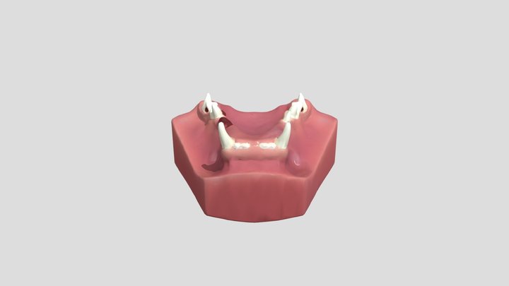 Cat lower jaw obj – Modelo 3D gratuito STL
