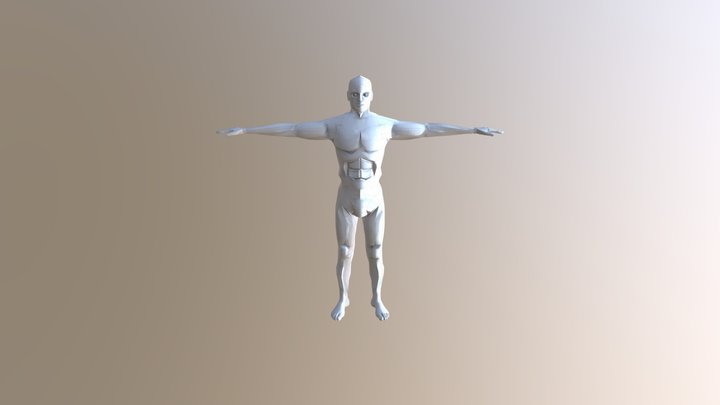 Human Anatomy 3D Model