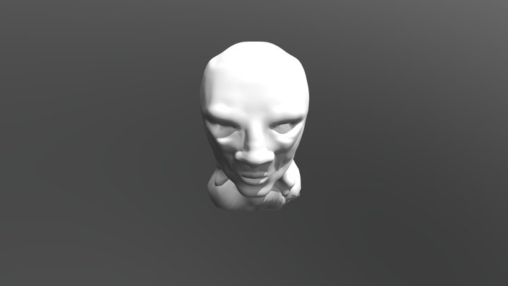 the face 3D Model