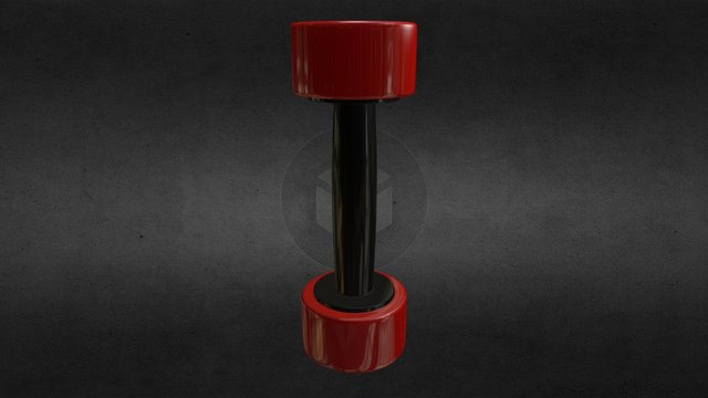 Pesa 3D Model