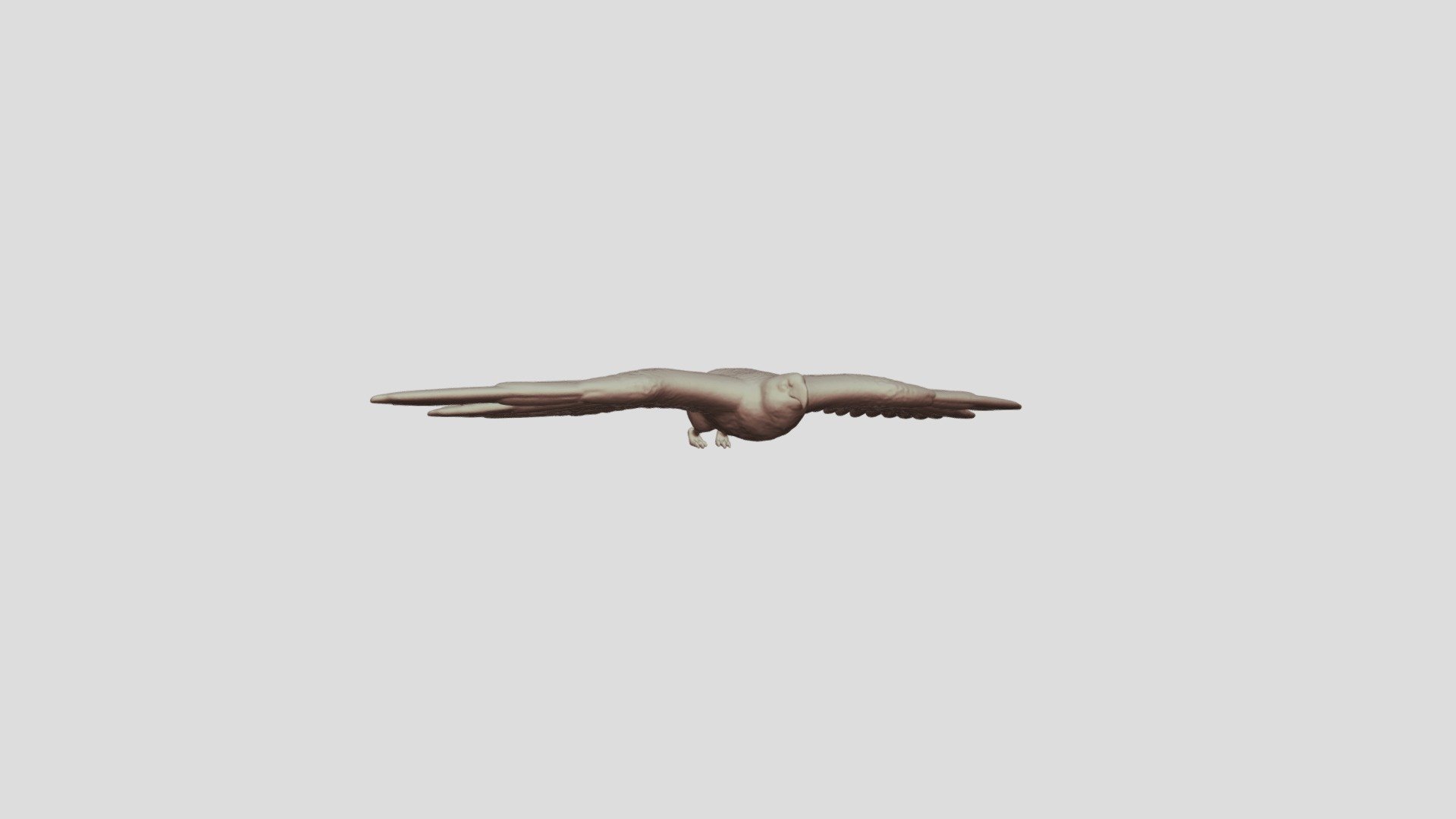 Falcon's Flight - 3D model by bugagasinkas [37427cf] - Sketchfab
