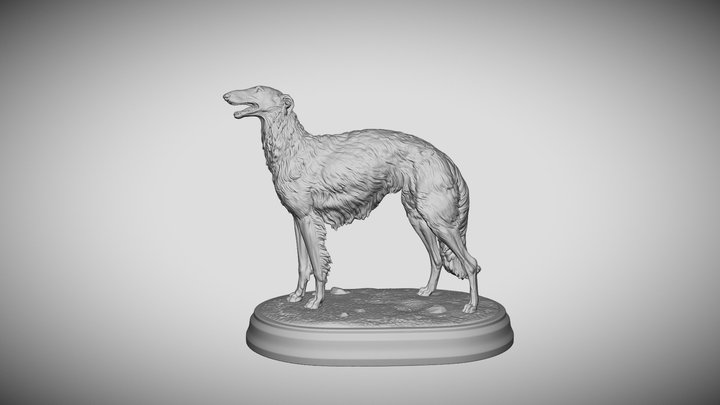 Dog Borzoi 3D Model