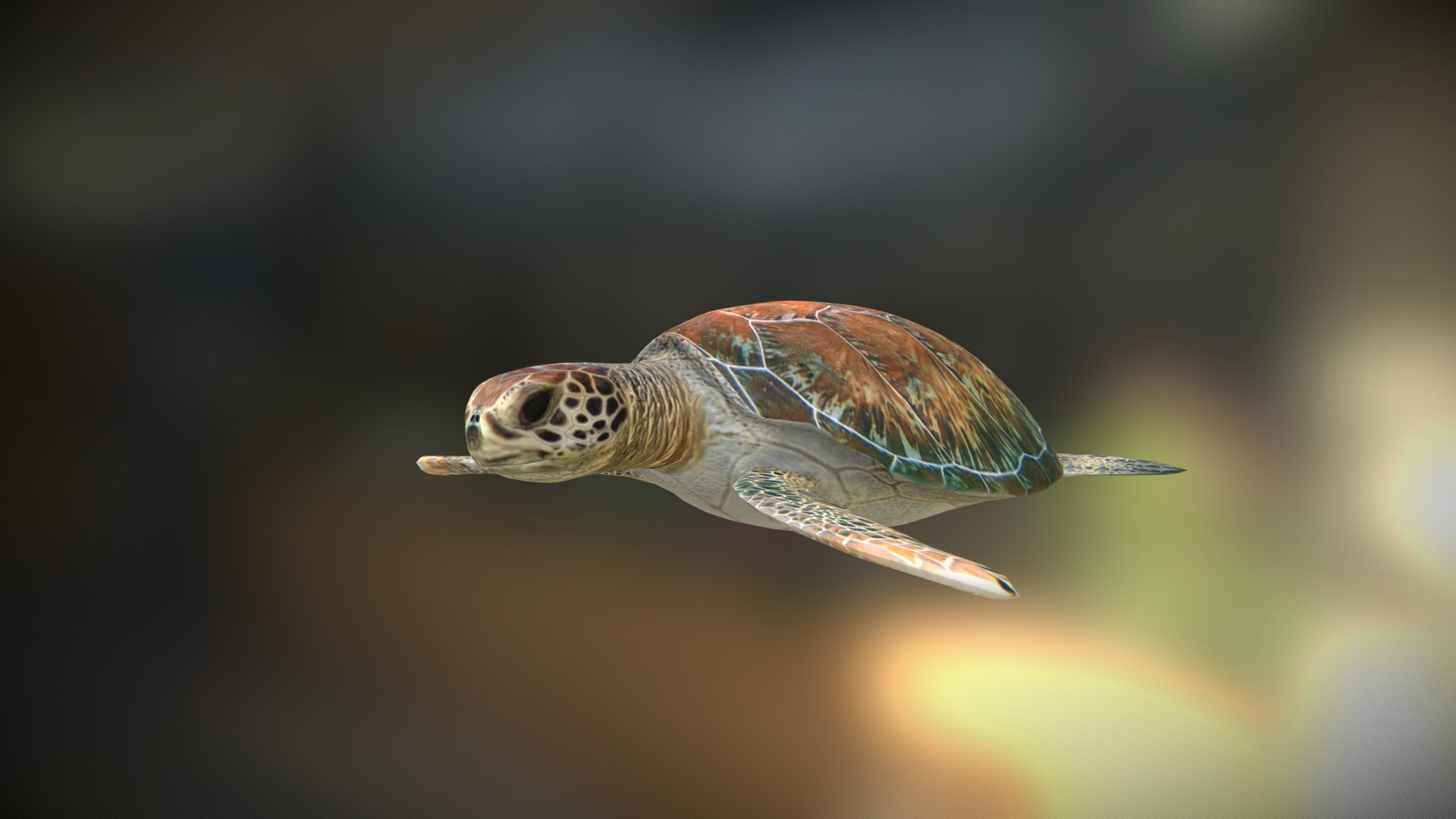 3D model Sea turtle - This is a 3D model of the Sea turtle. The 3D model is about a turtle swimming in water.