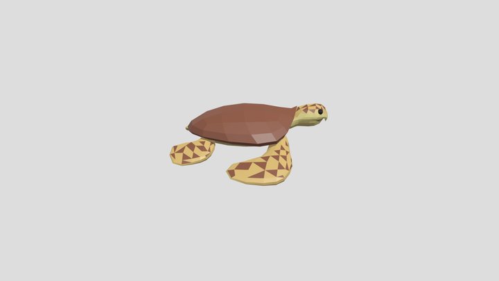 Low Poly Logger Head Turtle 3D Model