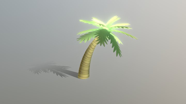 Palm Tree 3D Model