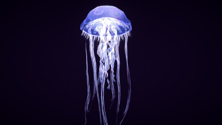 Low Poly Jellyfish 3D Model