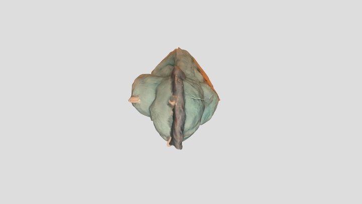 My cool 3D model 3D Model
