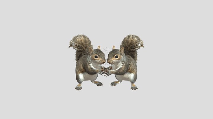 Squirrels Exchanging Nuts – Kostenloses 3D-Modell STL