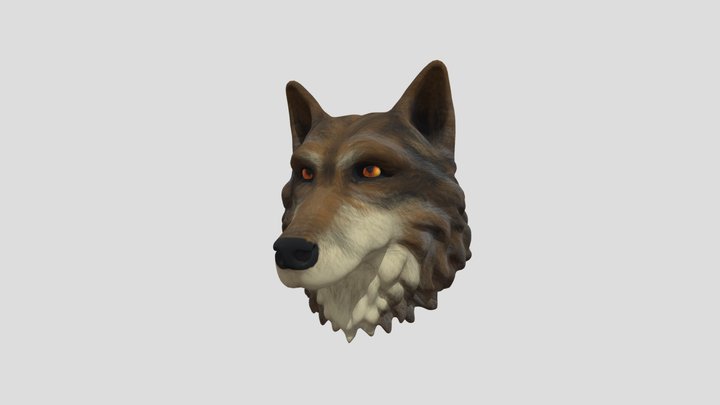 Mexican Wolf 3D Model