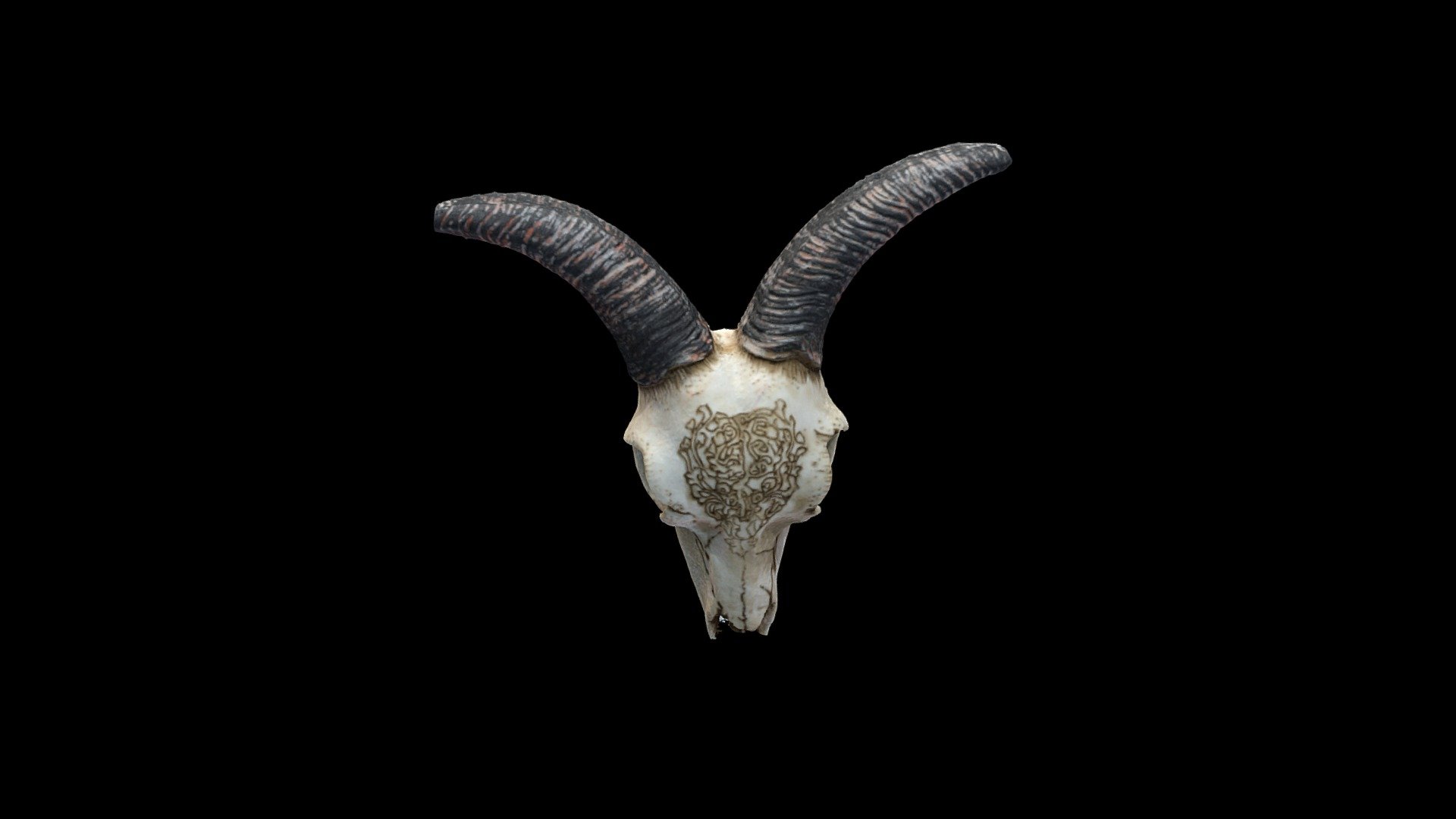 Decorative Skull