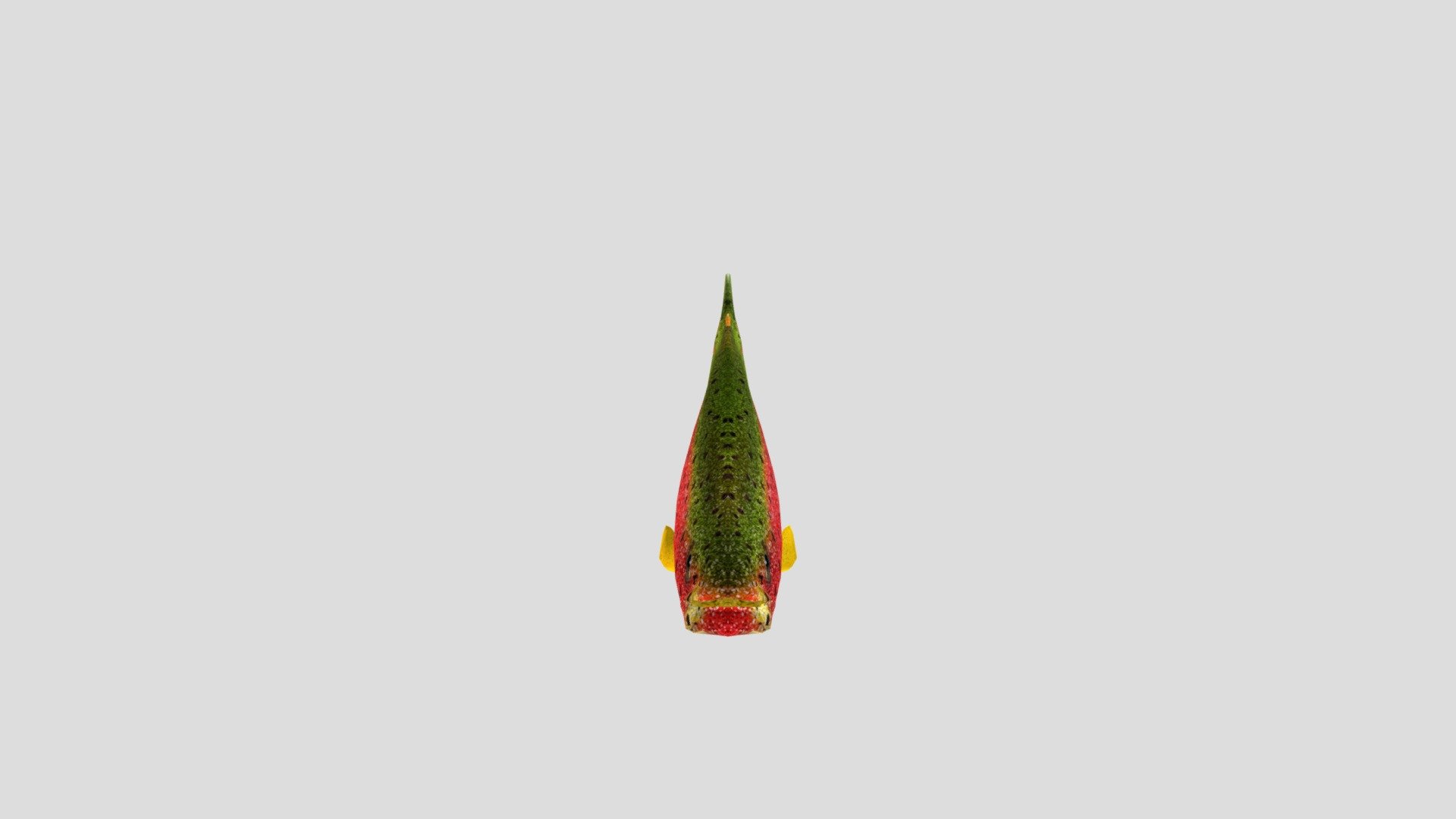 test1