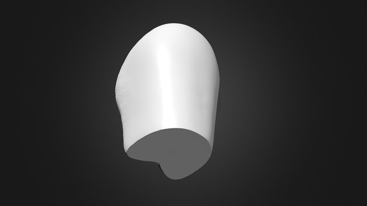 Vagina – Morphology Studies 3D Model