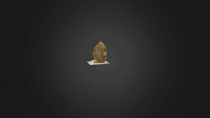 1 3D Model