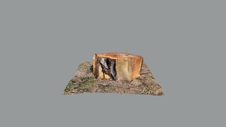 Lidar scan 3D Model