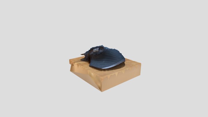 Scan 2023-01-14T12:16:36.691Z 3D Model